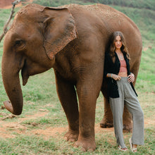 Load image into Gallery viewer, Granite Wide Leg Cotton Pants