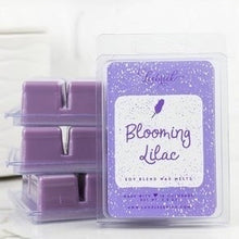 Load image into Gallery viewer, SOY BLEND WAX MELTS