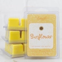 Load image into Gallery viewer, SOY BLEND WAX MELTS