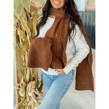 Load image into Gallery viewer, Sequin Brioche Cable Knit C.C Scarf
